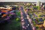 Streets of Pretoria