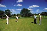 Golf in the Limpopo