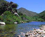 Eastern Cape river valley